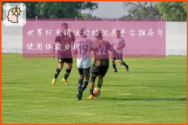 世界杯竞猜注册的优质平台推荐与使用体验分析