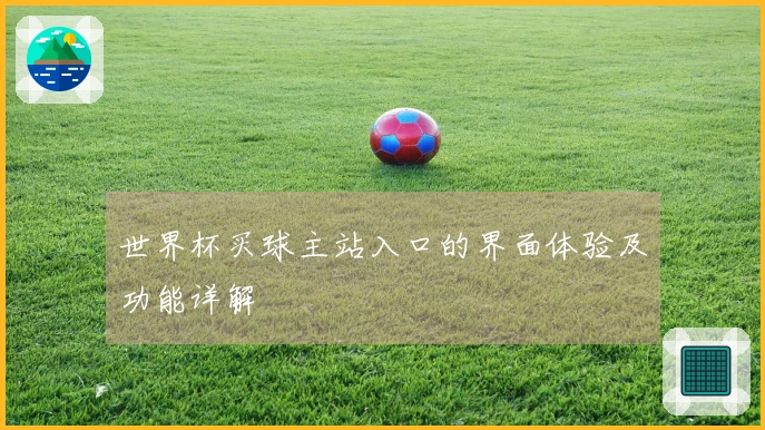 世界杯买球主站入口的界面体验及功能详解