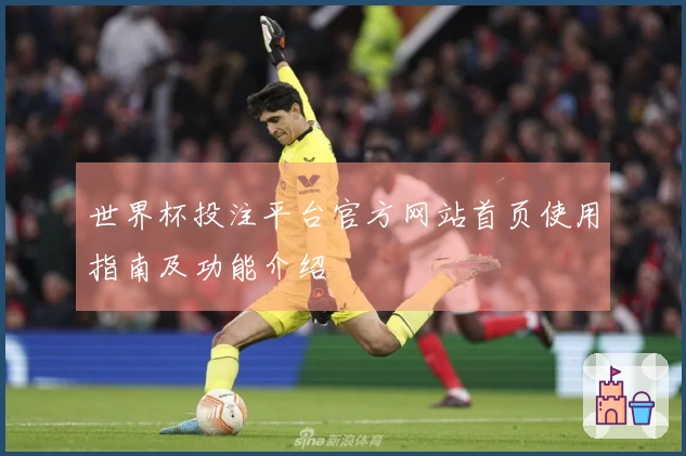 世界杯投注平台官方网站首页使用指南及功能介绍