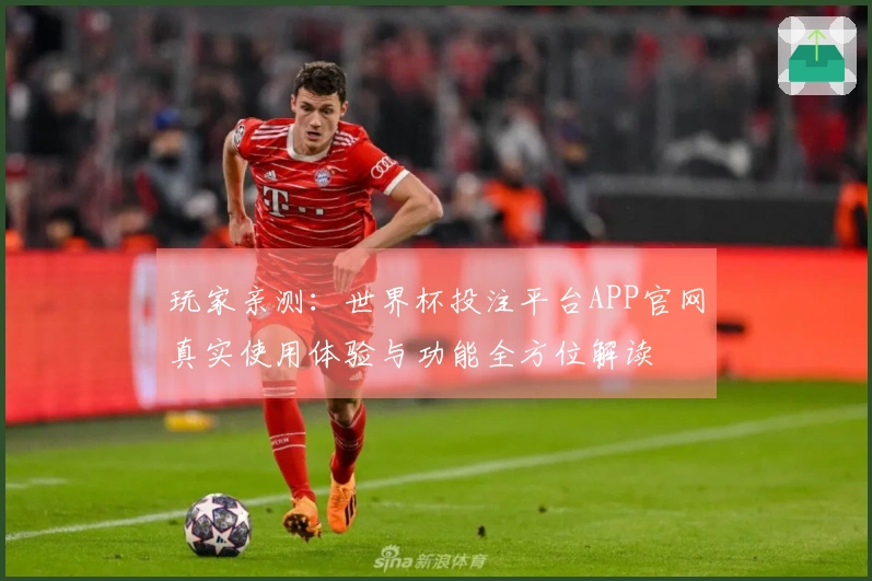 玩家亲测：世界杯投注平台APP官网真实使用体验与功能全方位解读