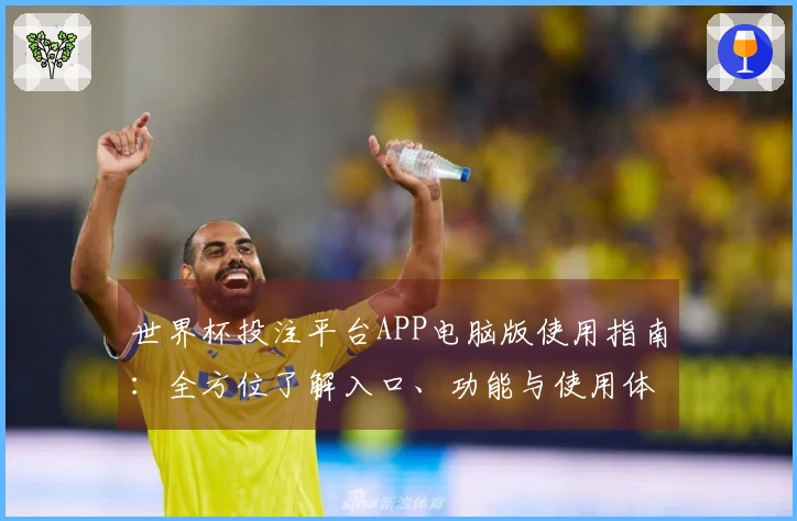 世界杯投注平台APP电脑版使用指南：全方位了解入口、功能与使用体验