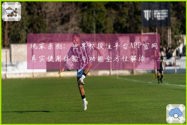 玩家亲测：世界杯投注平台APP官网真实使用体验与功能全方位解读