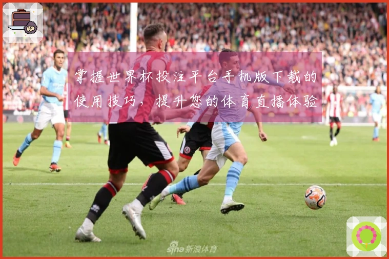 掌握世界杯投注平台手机版下载的使用技巧，提升您的体育直播体验