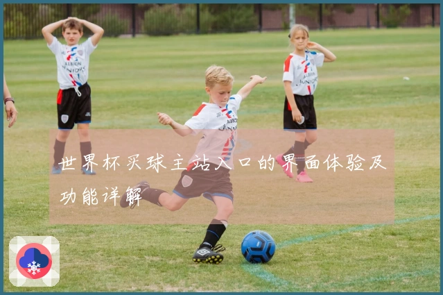世界杯买球主站入口的界面体验及功能详解