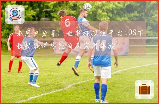老用户分享：世界杯投注平台iOS下载安装详尽指南及实用体验