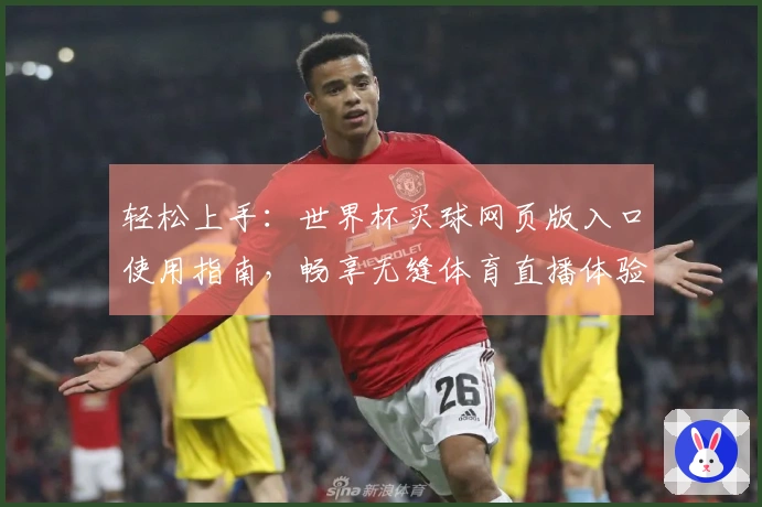 轻松上手：世界杯买球网页版入口使用指南，畅享无缝体育直播体验