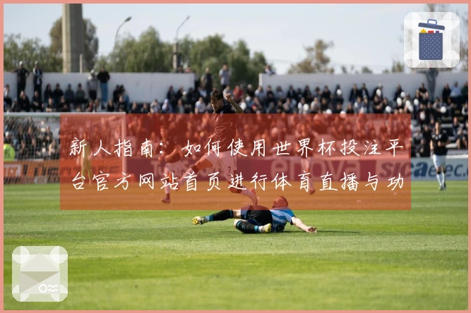 新人指南：如何使用世界杯投注平台官方网站首页进行体育直播与功能体验探讨