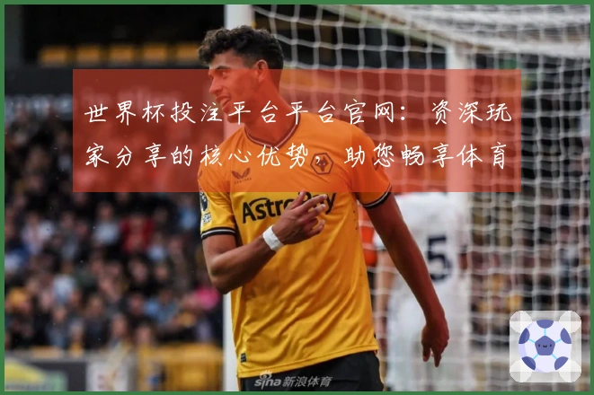 世界杯投注平台平台官网：资深玩家分享的核心优势，助您畅享体育观赛体验